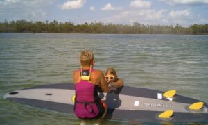 paddle board rescue flip image